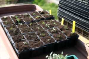 photo Vente de plants à la ferme