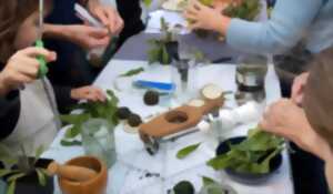 photo Atelier : Les Plantes Tinctoriales 1