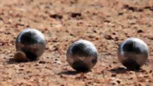 photo Concours Pétanque