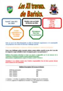 photo Les XII travaux de Barisix - après-midi sportive le samedi 7 juin
