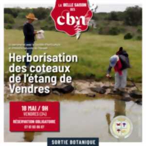 photo HERBORISATION DES COTEAUX DE L'ÉTANG DE VENDRES