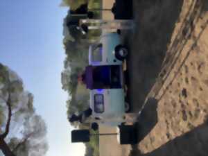 photo DISCOMOBILE VINTAGE MUSIC VAN