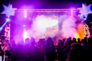 photo ANIMATION MUSICALE BIG SHOW CRAZY NIGHT
