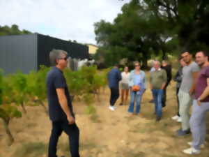 photo WEEK-END ŒNOLOGIQUE