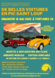 photo EXPOSITION DE BELLES VOITURES EN PIC SAINT LOUP