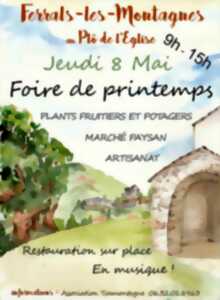 photo LA FOIRE DE PRINTEMPS