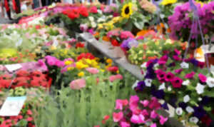 photo 1er marché aux fleurs