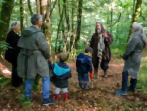 photo Balades contées en forêt de Saint-Sever-Calvados