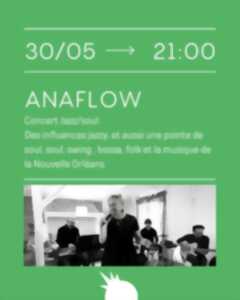 photo ANAFLOW