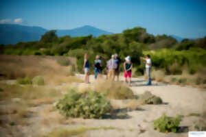 photo FETE DE LA NATURE - LA RESERVE NATURELLE DU MAS LARRIEU-