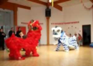 photo FETE DES ACTIVITÉS ASIATIQUES AUTOUR DE LA FÊTE DU PRINTEMPS
