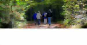 photo Marche nocturne et repas conviviavial