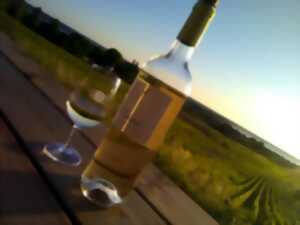 photo Duo de vigneronnes : rando, snack et vins