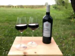 photo Les barbecues vignerons au Château Moulin de la Marzelle