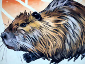 photo Dessin les animaux, sortie nature pour enfant