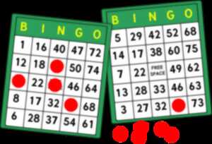 photo LOTO BINGO