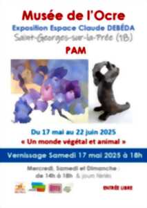 photo Exposition PAM