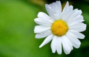 photo Fête de la Sainte-Marguerite
