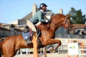 photo Concours Hippique