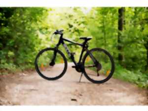 photo Courses de vélo