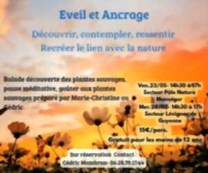 photo Eveil et Ancrage