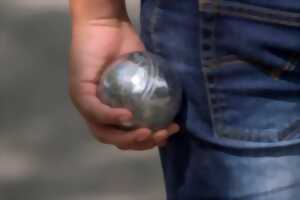 photo Concours de pétanque