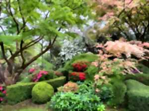 photo Un jardin entre deux écglises