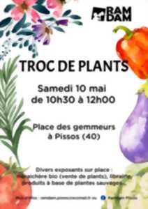 photo TROC DE PLANTS