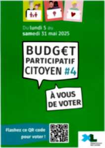 photo Budget participatif citoyen #4