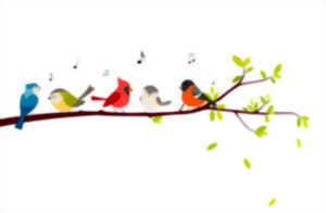 photo Fête des oiseaux