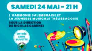 photo Concert Printanier avec l'Harmonie de Trélissac et Saint-Germain-du-Salembre