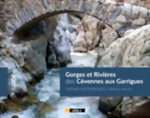 photo PROJECTION DOCUMENTAIRE ET VENTE DE LIVRE