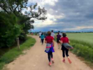 photo 10 KM LES FOULEES DE LA PAU I TREVA