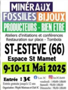 photo EXPO-VENTE MINERAUX FOSSILES BIJOUX