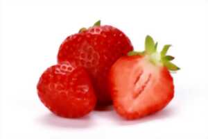 photo MARCHE DES CREATEURS ET DE LA FRAISE