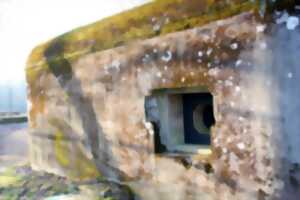 photo Visite guidée de Herbitzheim et de la Ligne Maginot aquatique