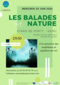 photo A la rencontre des amphibiens et papillons de nuit