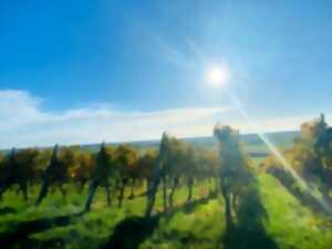 photo Portes ouvertes au Domaine Vierling