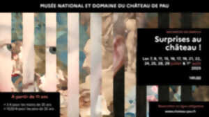 photo Surprise au château