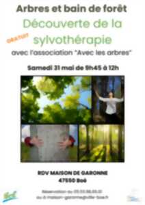 photo Arbres et bains de Forêt, découverte de la sylvothérapie