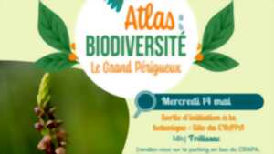 photo Atlas de la Biodiversité : Sortie d'Initiation à la botanique : Site du CRAPA