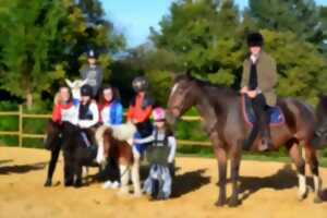 photo Été actif : Équitation/Voltige