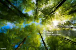 photo GRANDE FÊTE DE LA BIODIVERSITÉ