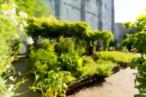 photo Visite thématique : Le jardin médiéval