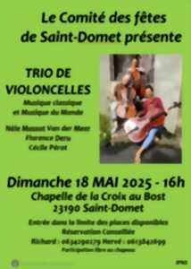 photo TRIO DE VIOLONCELLE