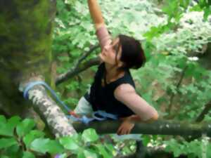 photo Été Actif - Grimpe d'arbre