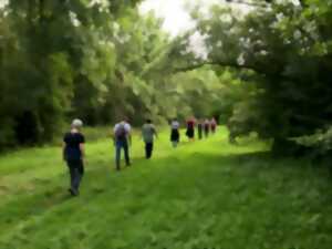 photo Marche méditative sur le site naturel du Moron