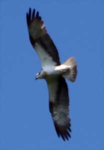photo Exposition nature :