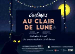 photo Soirée cinéma au clair de lune