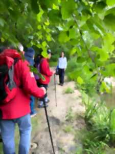 photo Fête de la Nature : Randonnée à la découverte du site Natura 2000 de la Gélise